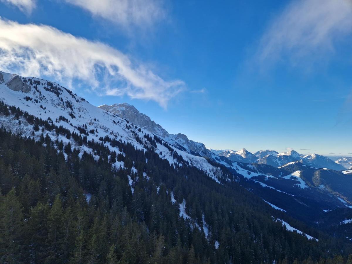 Appartement Tout Confort Montagne Et Lac Leman Thollon-les-Memises Exteriör bild